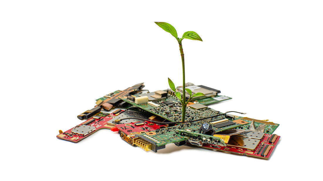 Where Our Furniture Comes From